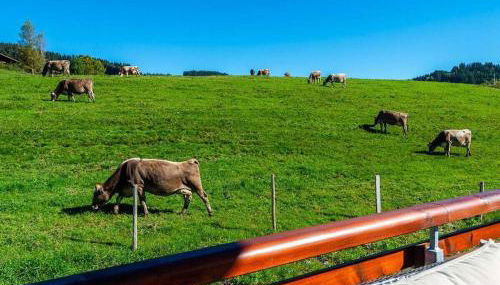 One-bedroom apartment - Foto 3, Other