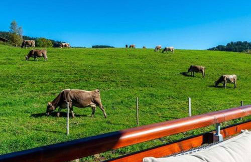 One-bedroom apartment - Foto 3