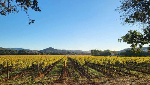 Appartement Vue d'Or les pieds dans l'eau - Foto 5