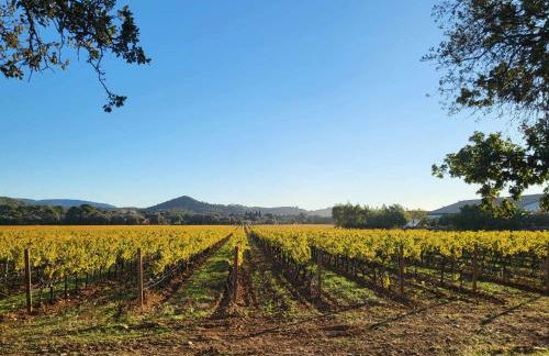 Appartement Vue d'Or les pieds dans l'eau - Foto 5