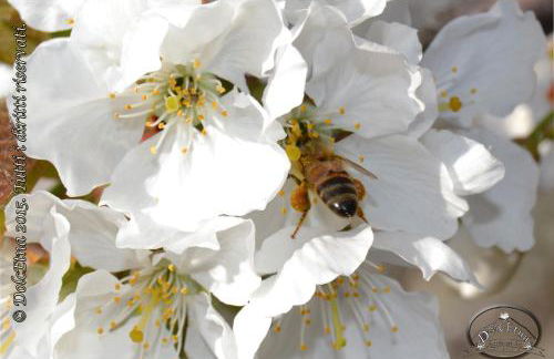 Agriturismo Dolcetna - Foto 44