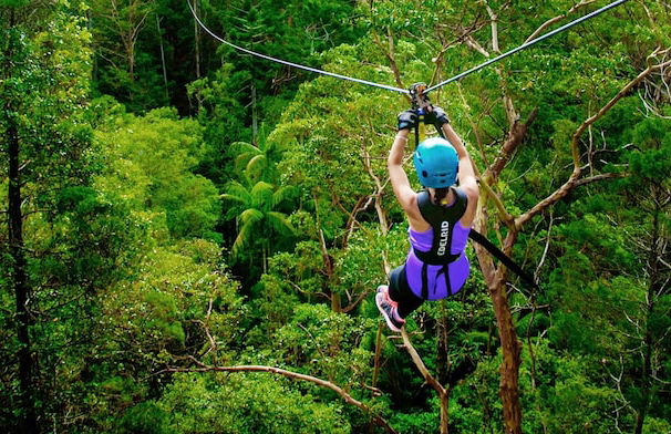 Shambala Estate - Photo 33