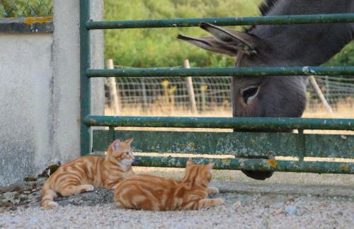 La Fontaine du Perche - Home Cinéma, Sauna, SPA, piscine intérieure chauffée jusqu'à fin novembre - Foto 28