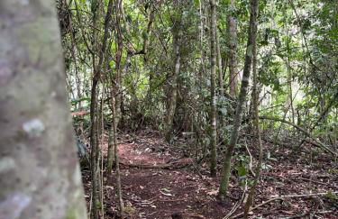 Casa de Campo Refúgio Jaguary - Foto 45