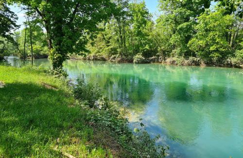 Happy Sparrow - Foto 68