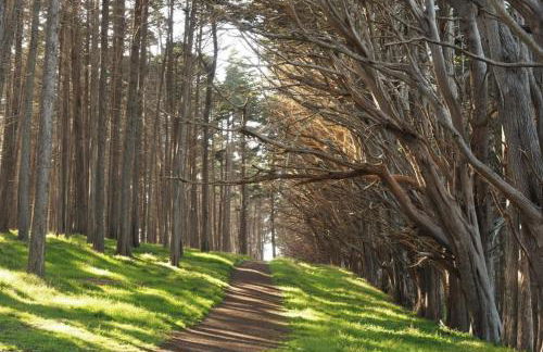 Oceanfront Home Retreat w Breathtaking Views of Fitzgerald Marine Reserve - Foto 14