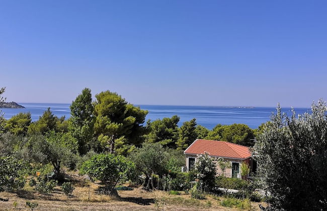 Seapine Studios - Foto 6