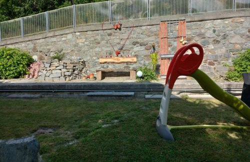 The Green Owl - Foto 8