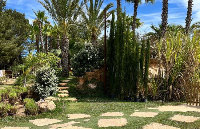 Ibiza Biotechnological Botanical Garden Tour - Photo 7