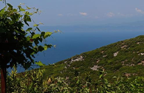 Ladanos Apartment Thassos - Foto 23