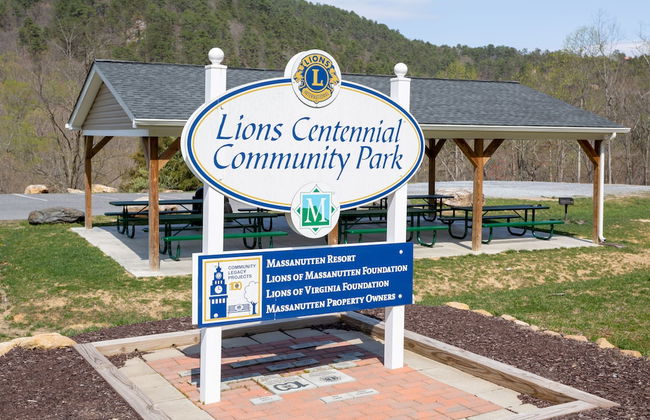 Massanutten's Regal Vistas by Tripforth - Foto 74