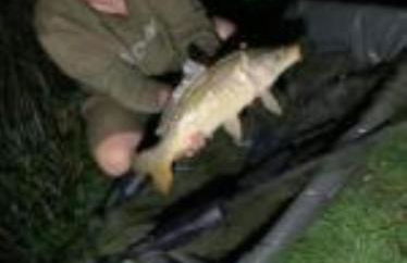 Snug & Secluded Lakeside Shepherds Hut 'Carp' - Foto 24