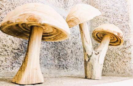 Lagarto Pintado Casa n'Aldeia - Foto 138