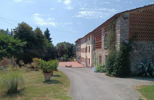 Corte Bicchio 11 ospiti - Foto 17