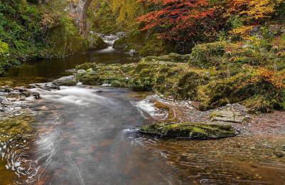 Grey Heron Townhouse - Foto 29