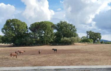 Salomonio hill - Foto 55