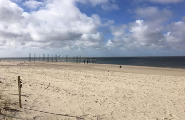 Pet-friendly Texel Escape - Foto 12