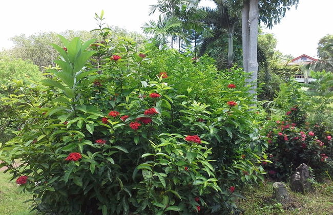 Freedom Estate - Photo 37