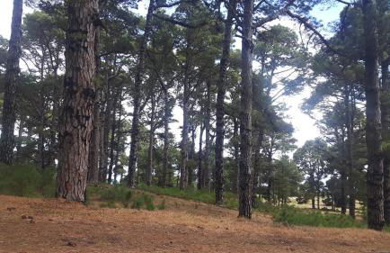 Apartamento La Caleta El Hierro Island terrace with incredible views - Foto 50