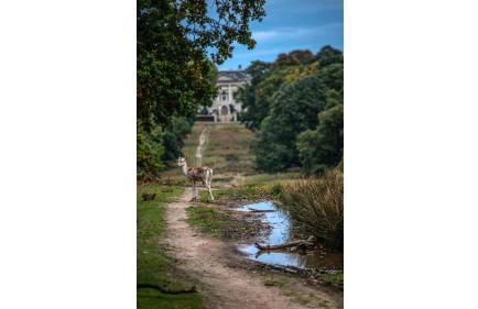 3-bedroom Home in Richmond - Ideal Family Living - Foto 41