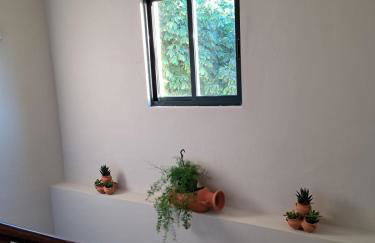 Ás Portas do Sil - En la Ribeira Sacra - Foto 12