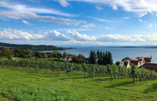 Fewo Wegen - Photo 7