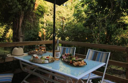 LOU PITCHOUN - Jacuzzi SPA Privé - Vignes - Proche ALBI et CORDES - Foto 15