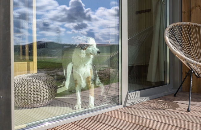 Cottage in Wissenkerke Near Nature Reserve - Foto 32