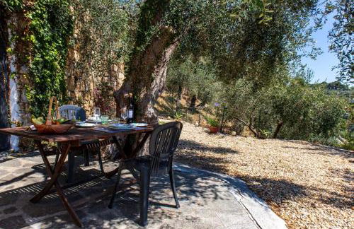 Le Navi In Cielo - Photo 6