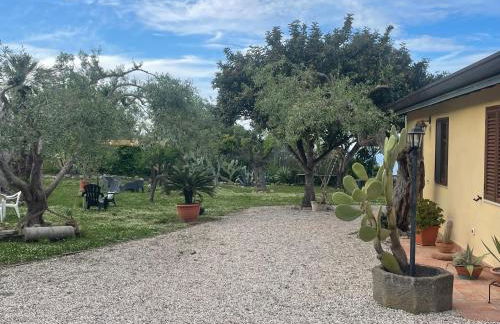 Bouganville in Villa Greco - Foto 39