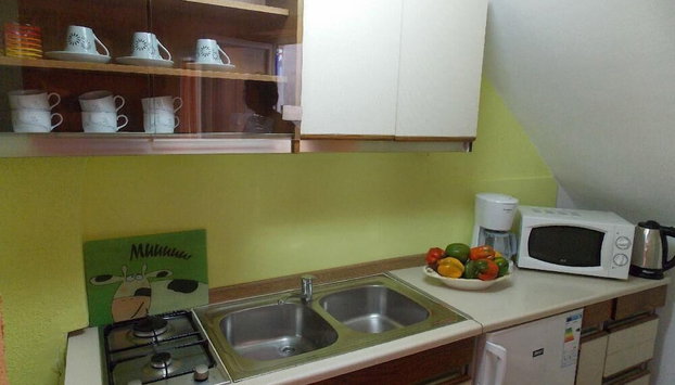 Apartment Tomy / Studio Terrace A1 - Foto 4, Cocina privada