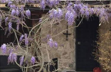 Almond Tree House - Eco Retreat - Foto 15