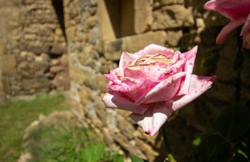 Charmante maison calme et agréable Lunel - Photo 28