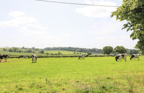 Pipistrelle - Foto 27