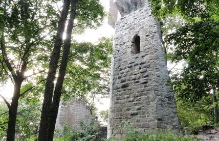 Ferienwohnung am Hollergraben - Foto 23