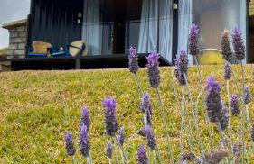 Pousada Colina dos Ventos - Cabana Fortaleza! - Photo 26