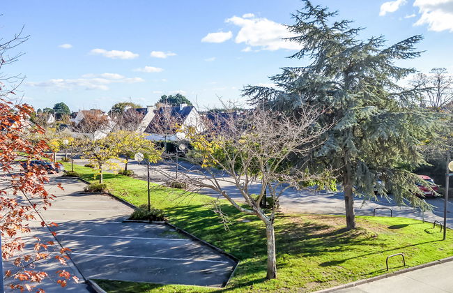 Stella Marine - Foto 19