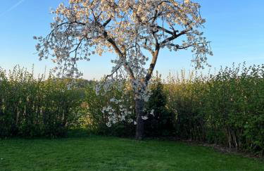 L'Etape Normande & Jacuzzi - Foto 6