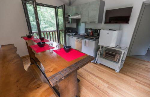 La maison de grand-pere, appt cote lac - Foto 5