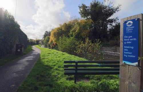 Wern farm cottage - Photo 24