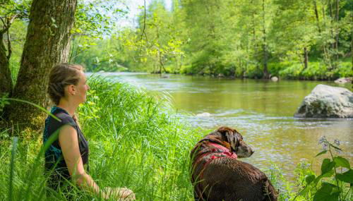Ferienwohnung am Ilztal - Foto 2