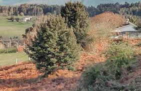 Casa Fontao, Campo y Playa Abrela - Foto 10