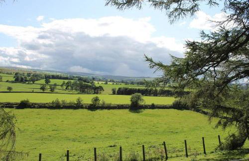 Sycamore Cottage - Foto 6