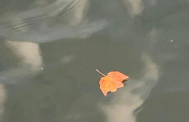 Hidden Gem on Golden Pond - Foto 36