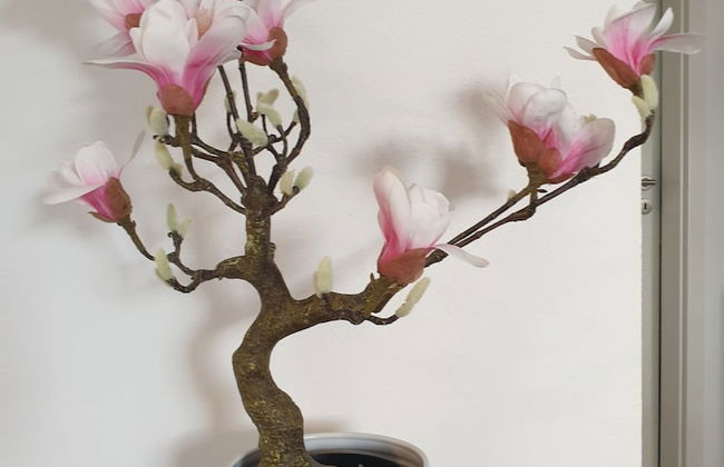 Villa Regensburg - Foto 23