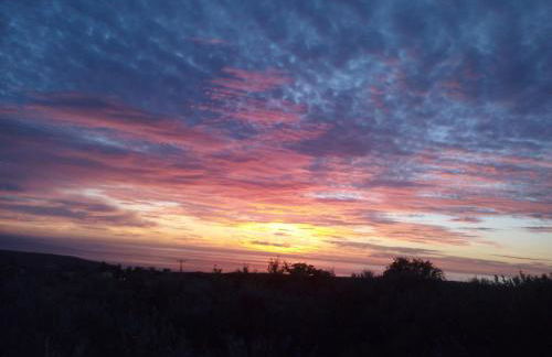 Thelea Mani - Foto 23