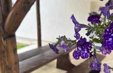 Apartman Djak - Foto 24