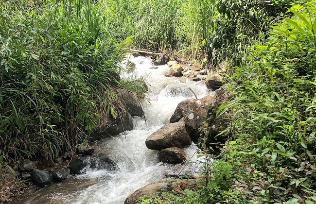 Cabañas arabi - Foto 15