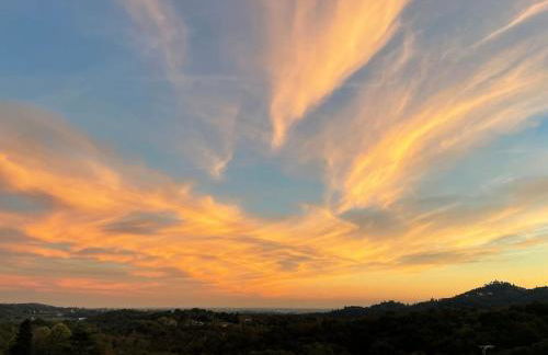 Belvedere a Monte - Foto 17