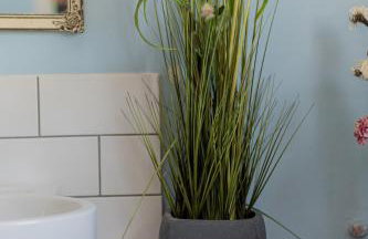 Lemon Tree House - Photo 32